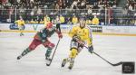 Photo hockey match Cergy-Pontoise - Rouen le 15/11/2022