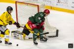 Photo hockey match Cergy-Pontoise - Rouen le 27/03/2024