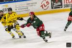 Photo hockey match Cergy-Pontoise - Rouen le 27/03/2024