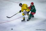 Photo hockey match Cergy-Pontoise - Rouen le 27/03/2024