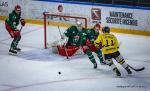 Photo hockey match Cergy-Pontoise - Rouen le 27/03/2024