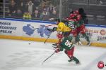 Photo hockey match Cergy-Pontoise - Rouen le 06/02/2026