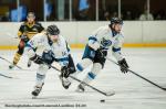 Photo hockey match Chambry - Nantes le 18/04/2024