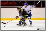 Photo hockey match Chambry - Paris (FV) le 25/02/2017