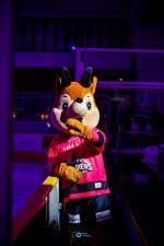 Photo hockey match Chamonix  - Amiens  le 03/10/2025