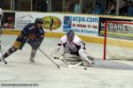 Photo hockey match Chamonix  - Angers  le 14/09/2013