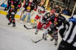 Photo hockey match Chamonix  - Anglet le 23/11/2018