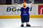 Photo hockey match Chamonix  - Bordeaux le 30/12/2015