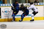 Photo hockey match Chamonix  - Brest  le 06/01/2016