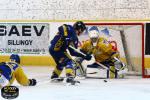 Photo hockey match Chamonix  - Dijon  le 18/02/2015