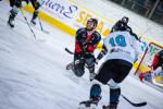 Photo hockey match Chamonix  - Gap  le 22/11/2019