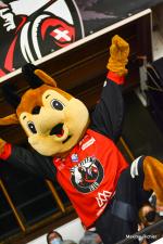 Photo hockey match Chamonix  - Gap  le 08/02/2022