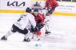Photo hockey match Chamonix  - Marseille le 29/09/2023