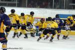 Photo hockey match Chamonix  - Rouen le 27/12/2013