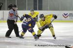 Photo hockey match Chamonix  - Rouen le 02/01/2014