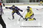 Photo hockey match Chamonix  - Rouen le 02/01/2014