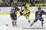 Photo hockey match Chamonix  - Rouen le 02/01/2014