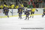 Photo hockey match Chamonix  - Rouen le 02/01/2014