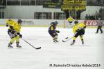 Photo hockey match Chamonix  - Rouen le 02/01/2014