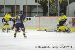 Photo hockey match Chamonix  - Rouen le 02/01/2014