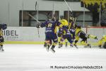 Photo hockey match Chamonix  - Rouen le 02/01/2014