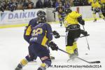 Photo hockey match Chamonix  - Rouen le 02/01/2014