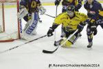 Photo hockey match Chamonix  - Rouen le 02/01/2014