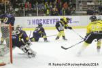 Photo hockey match Chamonix  - Rouen le 02/01/2014