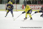 Photo hockey match Chamonix  - Rouen le 02/01/2014