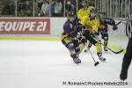 Photo hockey match Chamonix  - Rouen le 02/01/2014