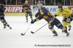 Photo hockey match Chamonix  - Rouen le 02/01/2014