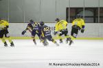 Photo hockey match Chamonix  - Rouen le 02/01/2014