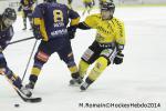 Photo hockey match Chamonix  - Rouen le 02/01/2014