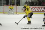 Photo hockey match Chamonix  - Rouen le 02/01/2014