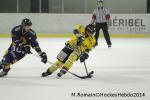 Photo hockey match Chamonix  - Rouen le 02/01/2014