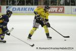 Photo hockey match Chamonix  - Rouen le 02/01/2014