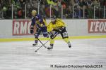 Photo hockey match Chamonix  - Rouen le 02/01/2014