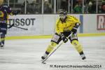 Photo hockey match Chamonix  - Rouen le 02/01/2014