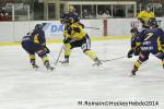 Photo hockey match Chamonix  - Rouen le 02/01/2014