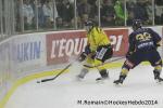 Photo hockey match Chamonix  - Rouen le 02/01/2014