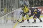 Photo hockey match Chamonix  - Rouen le 02/01/2014