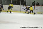 Photo hockey match Chamonix  - Rouen le 02/01/2014