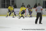 Photo hockey match Chamonix  - Rouen le 02/01/2014