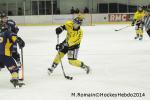 Photo hockey match Chamonix  - Rouen le 02/01/2014