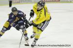Photo hockey match Chamonix  - Rouen le 02/01/2014