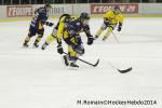 Photo hockey match Chamonix  - Rouen le 02/01/2014