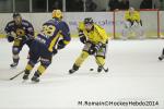Photo hockey match Chamonix  - Rouen le 02/01/2014