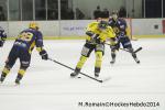 Photo hockey match Chamonix  - Rouen le 02/01/2014