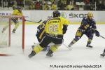 Photo hockey match Chamonix  - Rouen le 02/01/2014