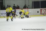 Photo hockey match Chamonix  - Rouen le 02/01/2014